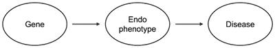 Clinical effects of novel susceptibility genes for beta-amyloid: a gene-based association study in the Korean population